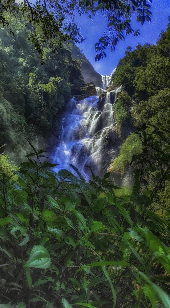 Photograph by Chamara Sulakkhana Polwatta Siriyalage