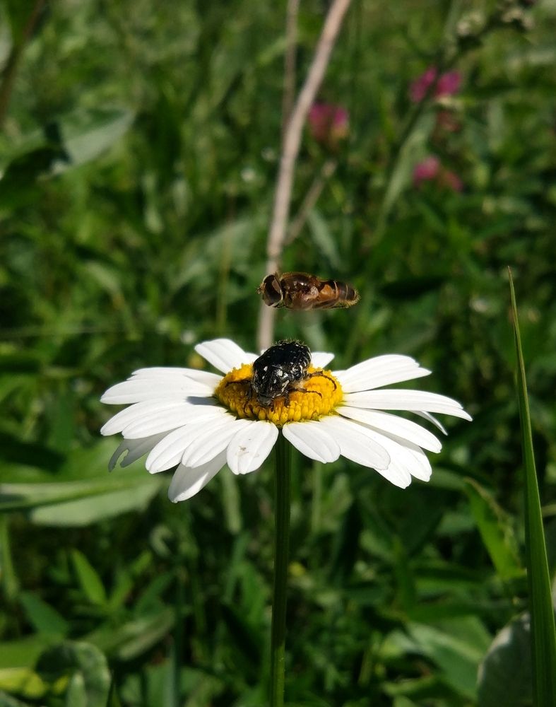 Photograph by Данила Черезов