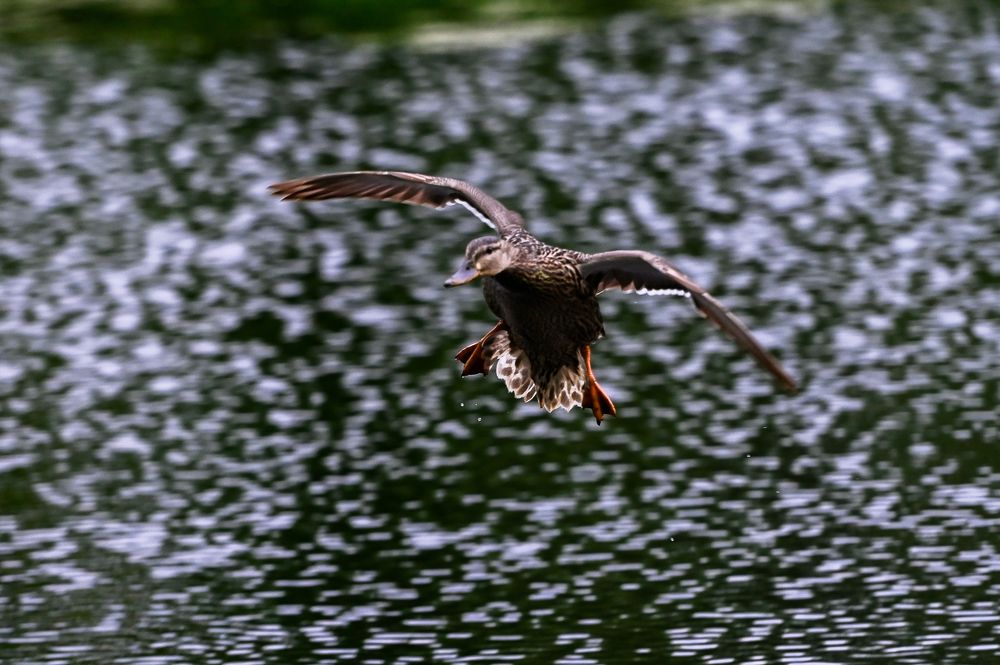 Photograph by Голубев Антон