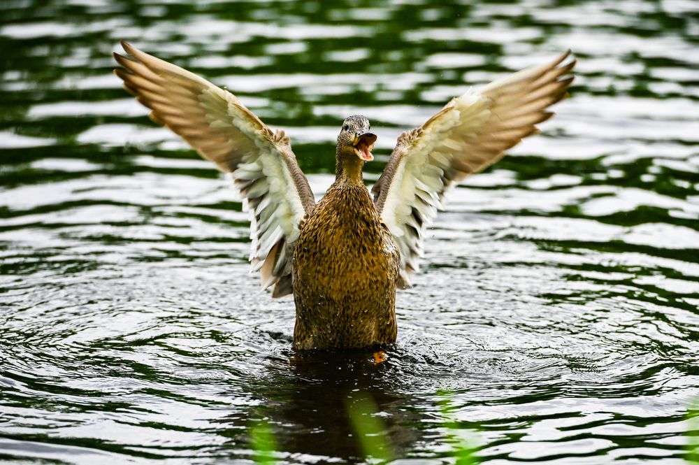 Photograph by Голубев Антон