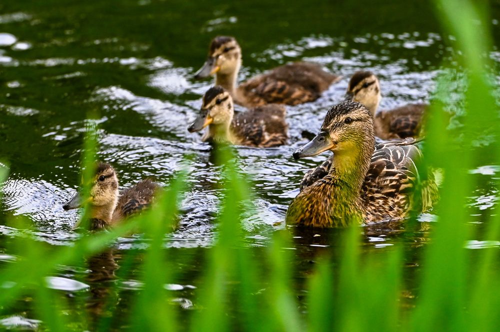 Photograph by Голубев Антон