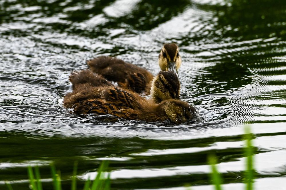 Photograph by Голубев Антон