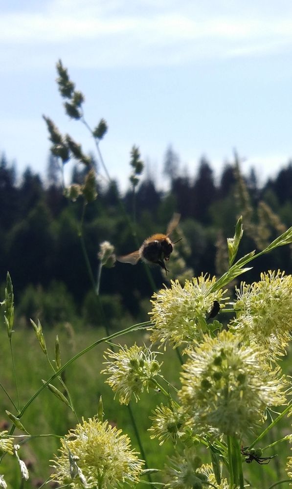 Photograph by Данила Черезов