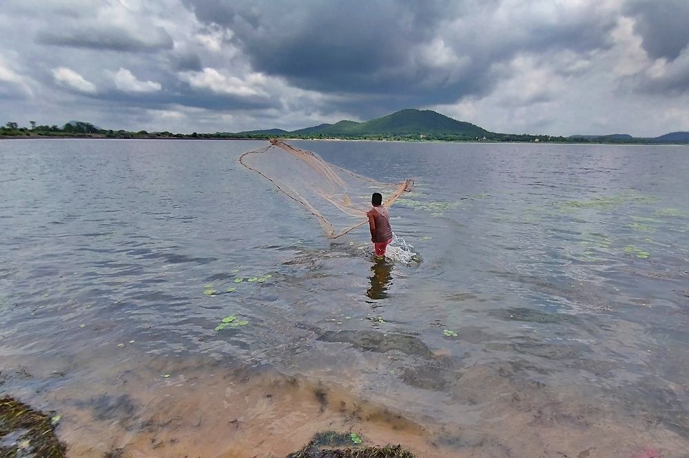 Фотография автора SK Shahbaj Ahmed