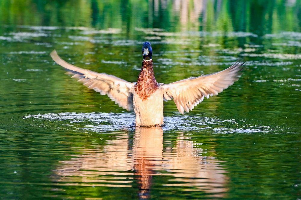 Photograph by Голубев Антон