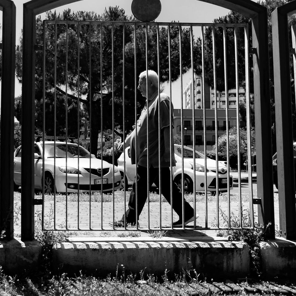 Photograph by Ferdinando Adinolfi