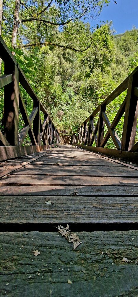 Photograph by Nadzeya