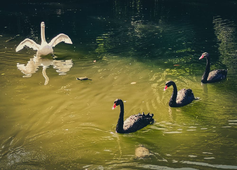 Photograph by Ольга Яценко