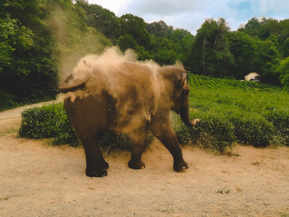 Photograph by Ольга Яценко