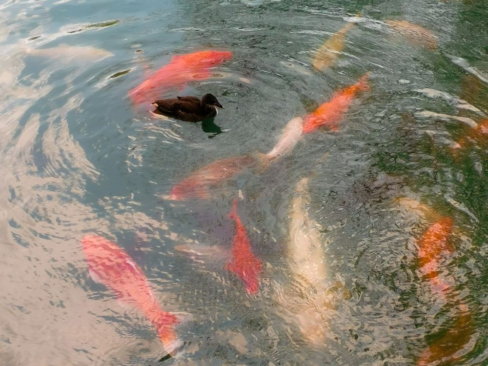 Photograph by Ольга Яценко