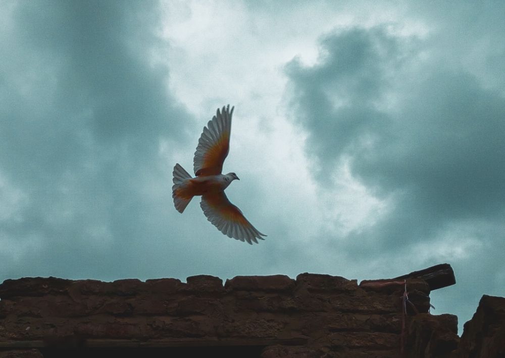 Photograph by Idris Ahmed