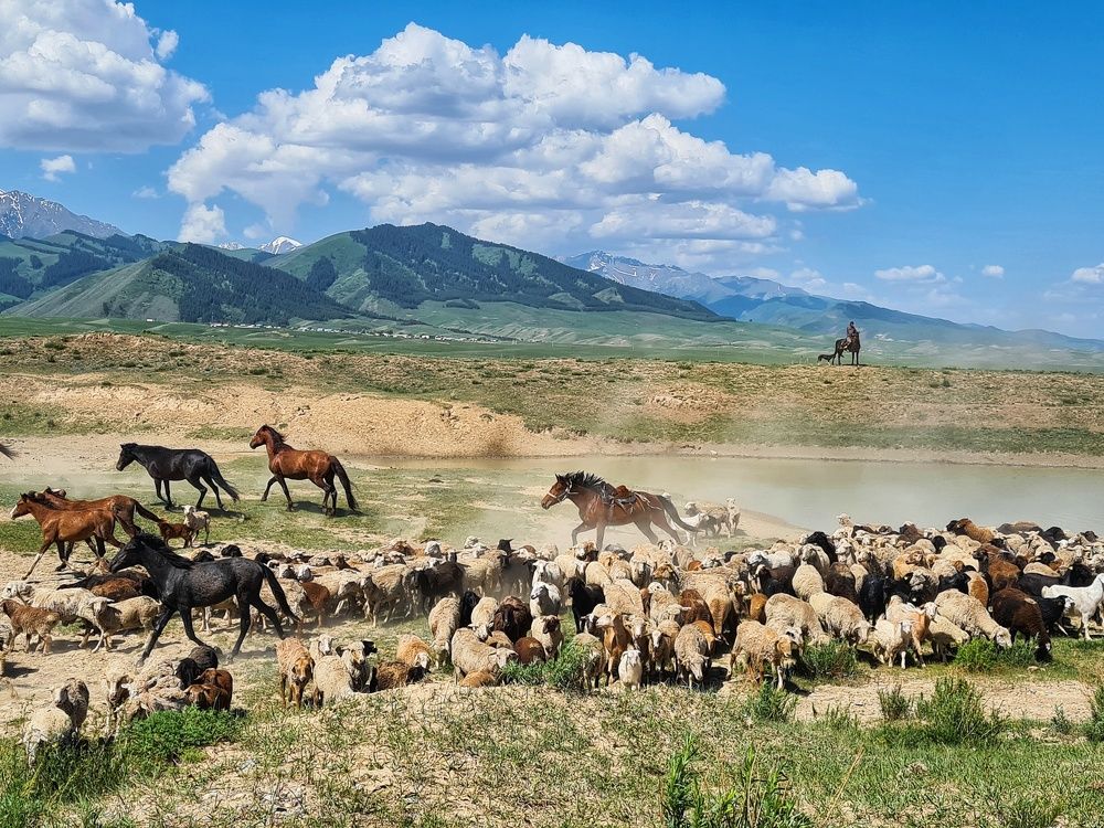 Photograph by Татьяна Соколовская