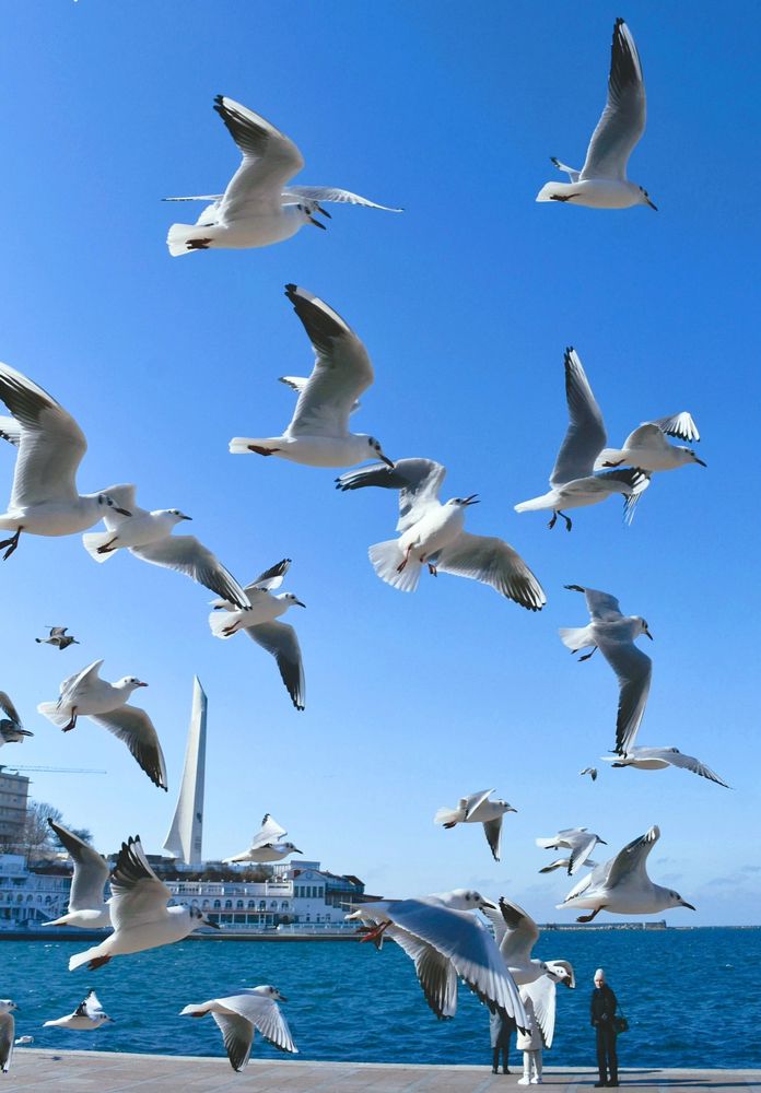 Photograph by Екатерина Гордеева