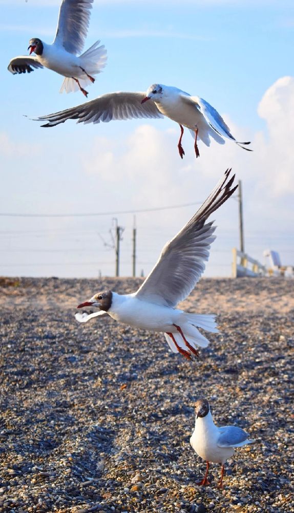 Photograph by Екатерина Гордеева