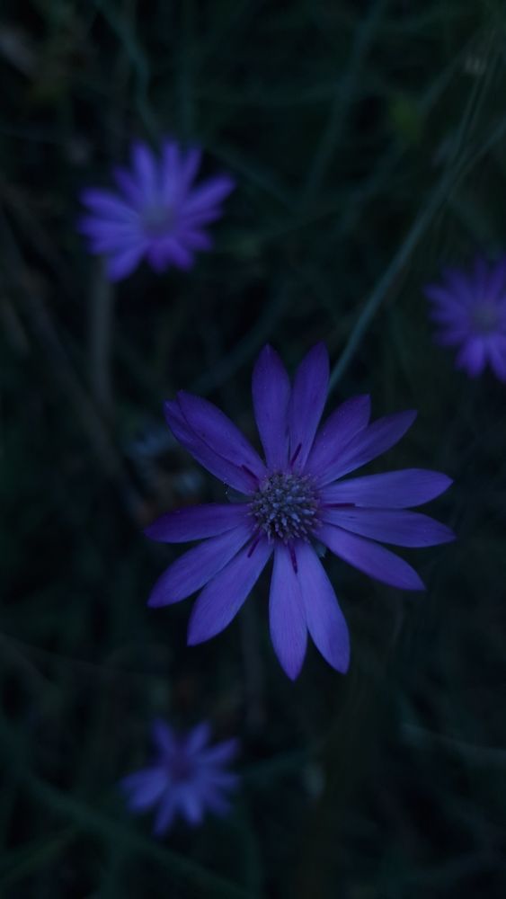 Photograph by Камила