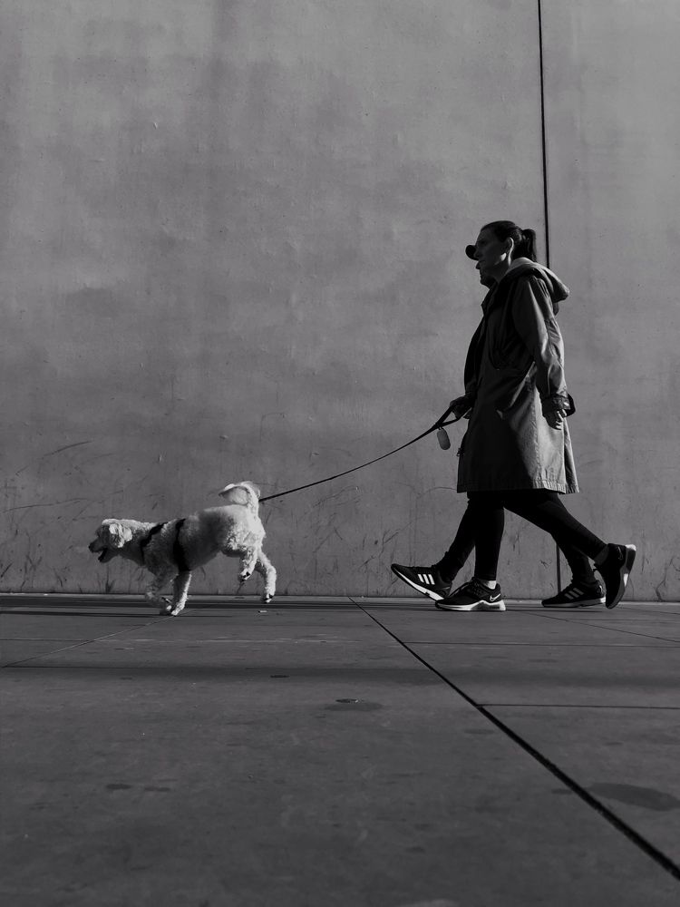 Photograph by Zinaida Sassarini