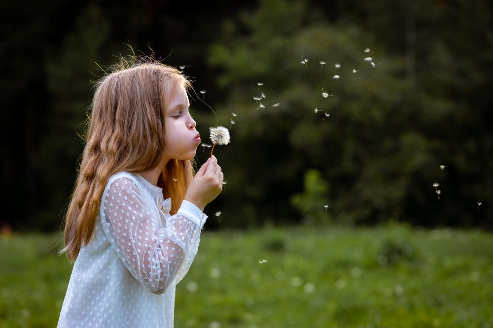 Photograph by Александр Трегубов