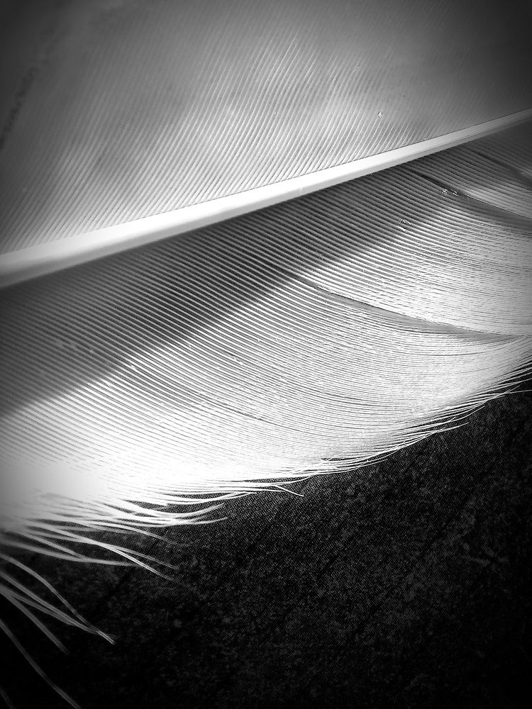 Photograph by Екатерина Морозова