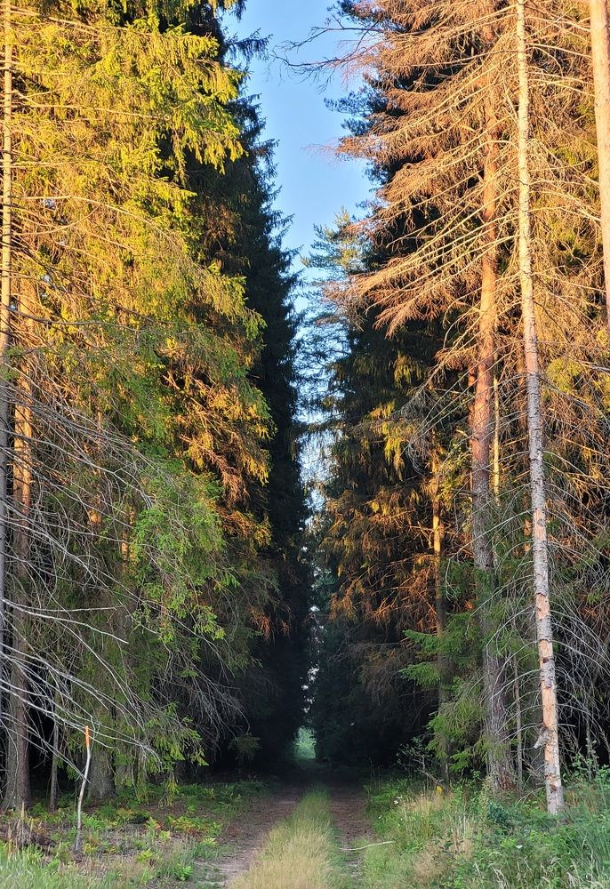 Photograph by Онейра Скриптор