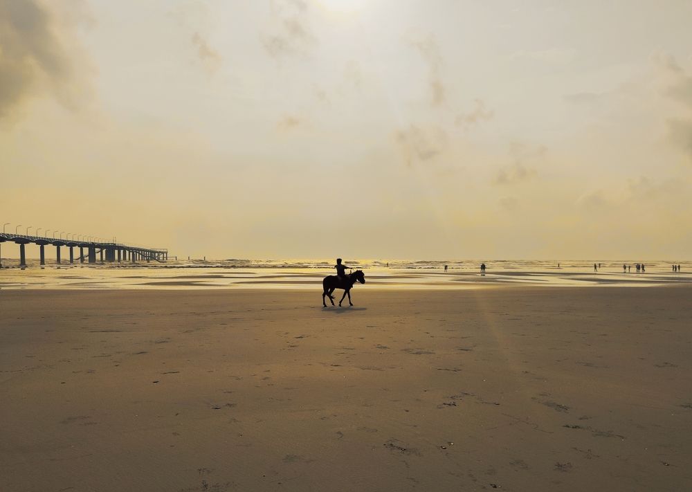 Photo #9413273