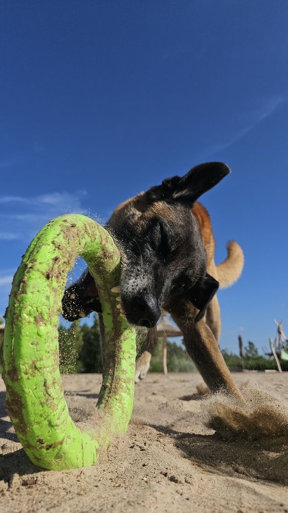 Photograph by Nadezhda