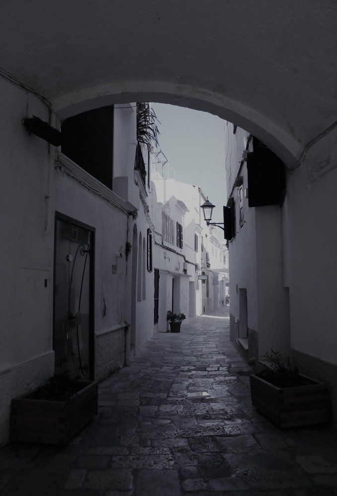 Фотография автора caroline martin (dony)