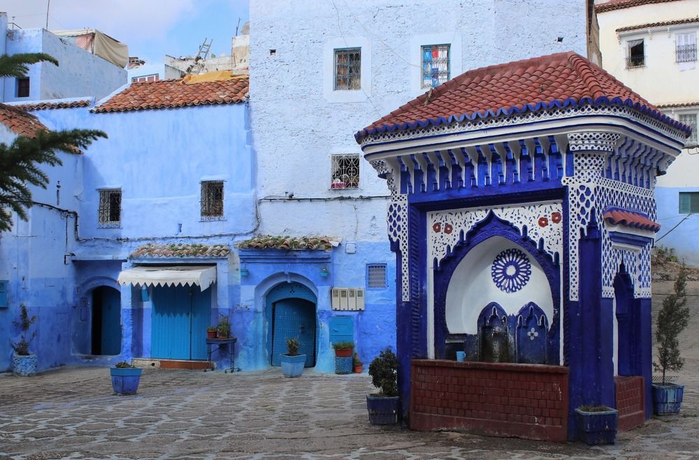 Фотография автора caroline martin (dony)