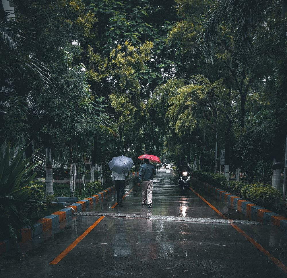 Rains and umbrella.