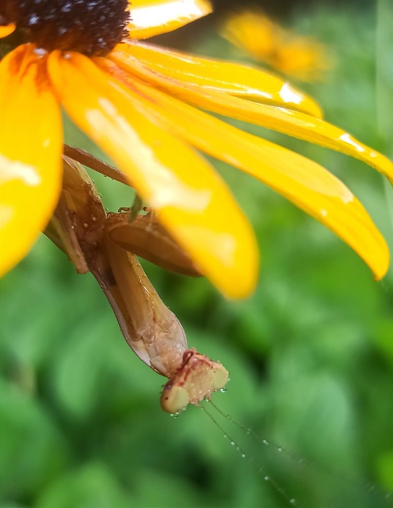 Photograph by Ольга Тихонова