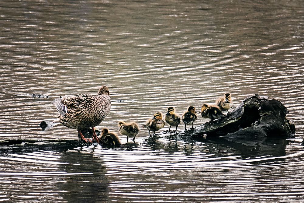 Photograph by Андрей Барышников