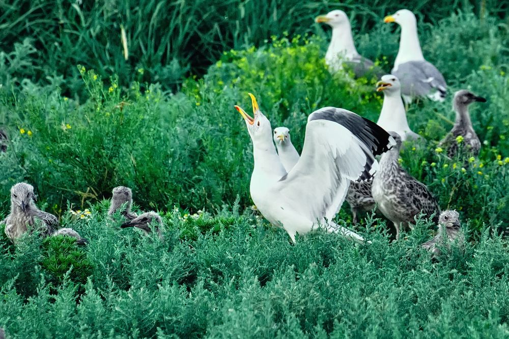 Photograph by Андрей Барышников
