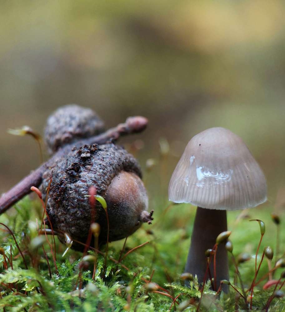 Photograph by Данила Черезов