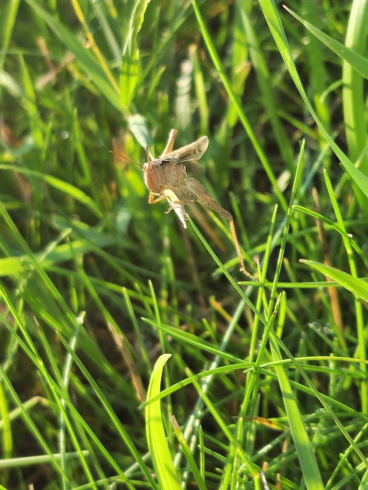 Фотография автора Ольга