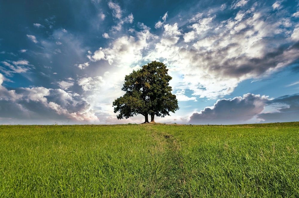 Photograph by Максим Кольцов