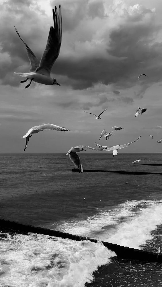 Photograph by Анастасия Сарычева