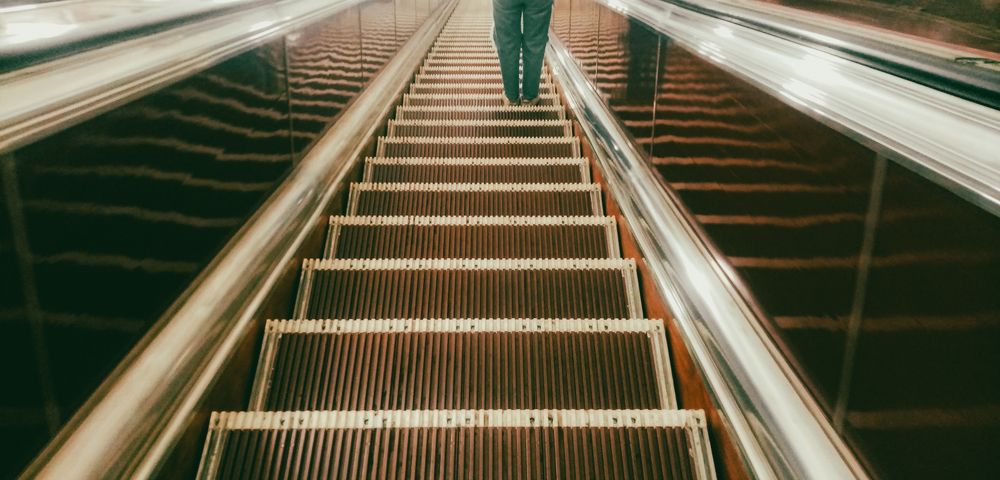 Photograph by Сафронова Любовь