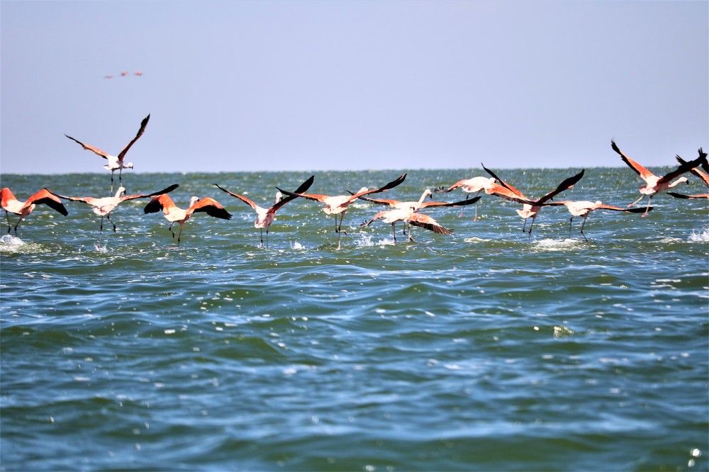 Photograph by Patricia Delionardis