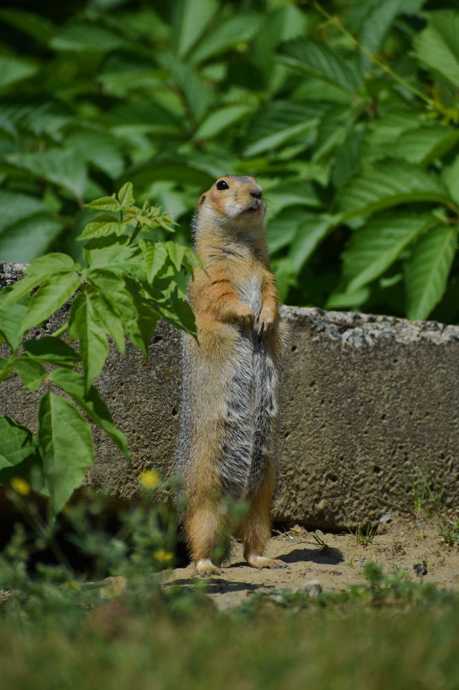 Photograph by Михаил Жарков