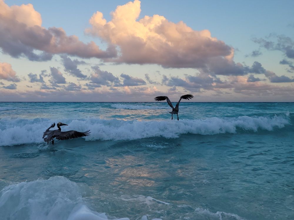 Photograph by Валерия Гуртовая