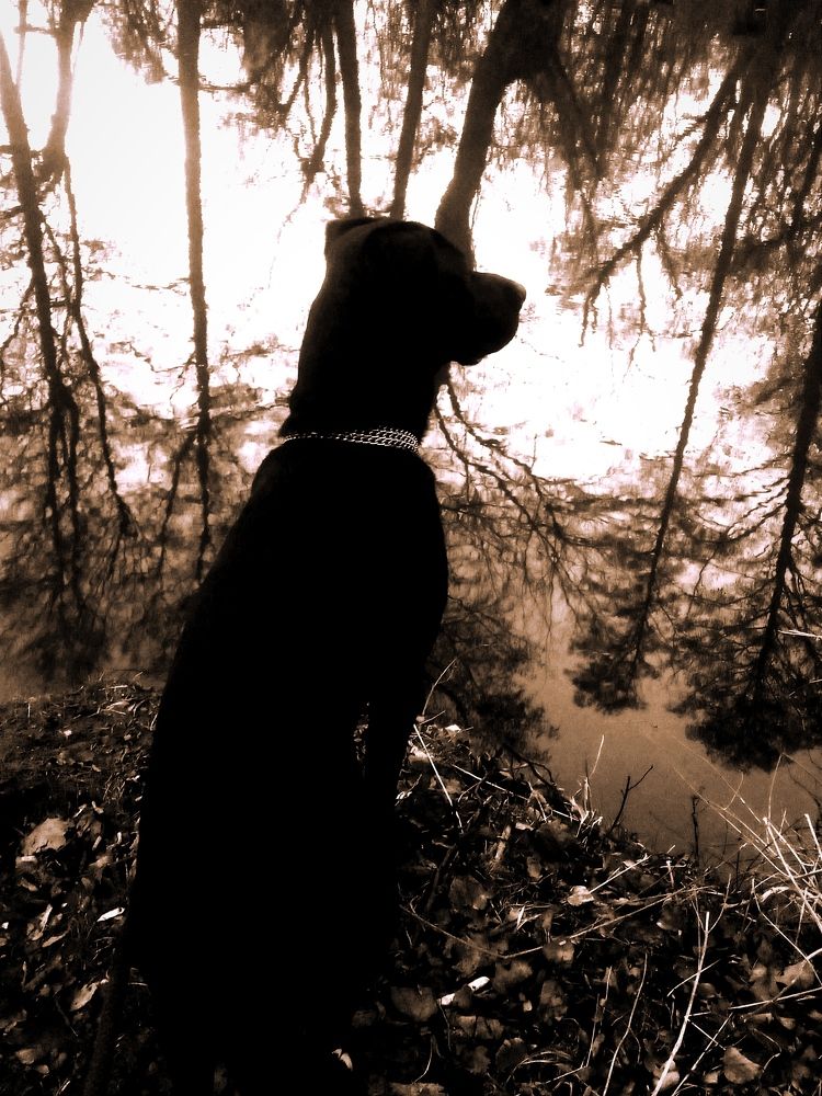 Фотография автора Jindřiška Kučerová