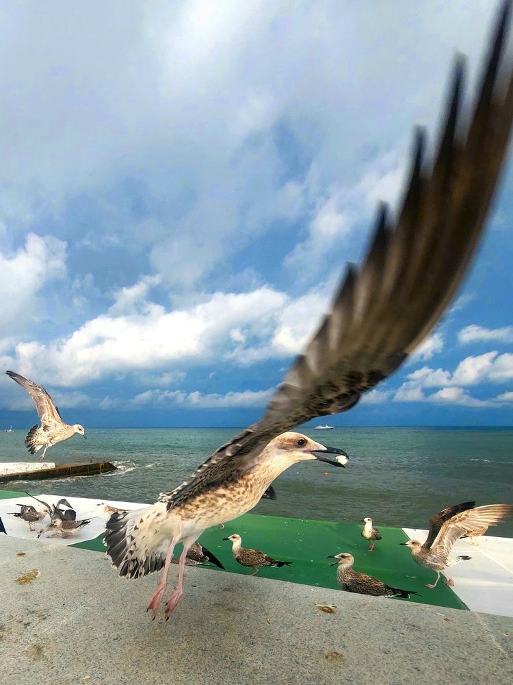 Photograph by Фролова Светлана
