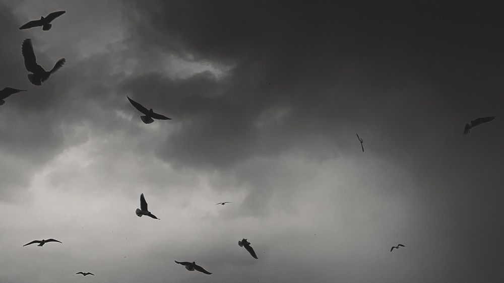 Photograph by Pavel