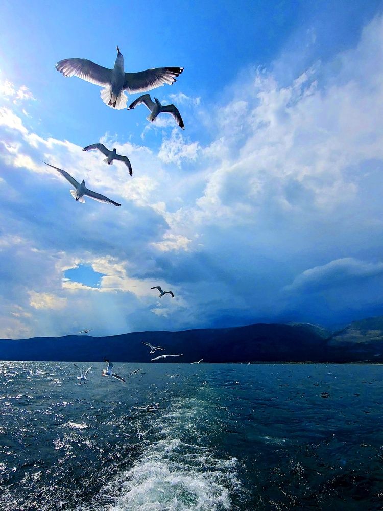 Photograph by Фролова Светлана