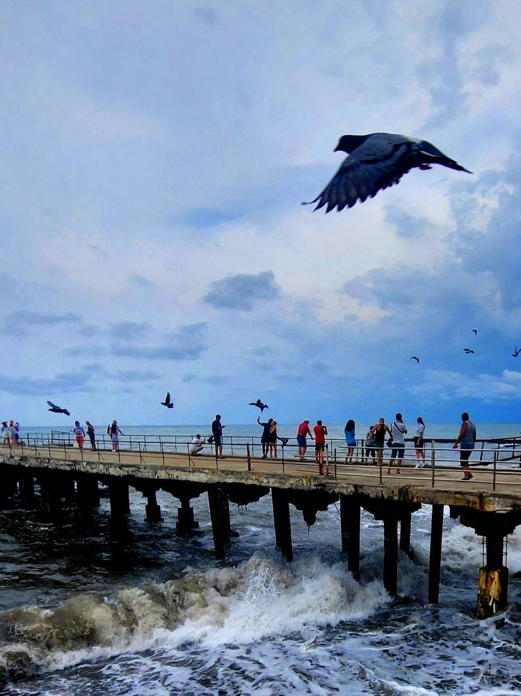 Photograph by Фролова Светлана