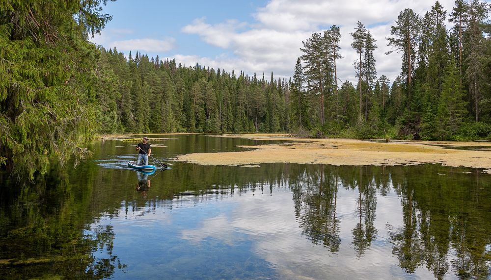 Photograph by Светлана Ващенко
