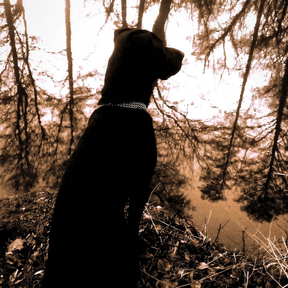 Фотография автора Jindřiška Kučerová