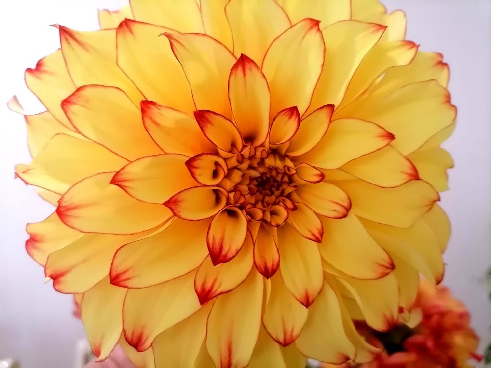 Photograph by Тамара Багровская