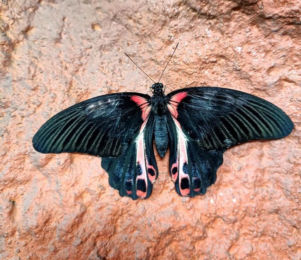 Photograph by Тамара Багровская