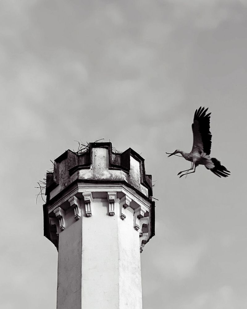 Photograph by Александр