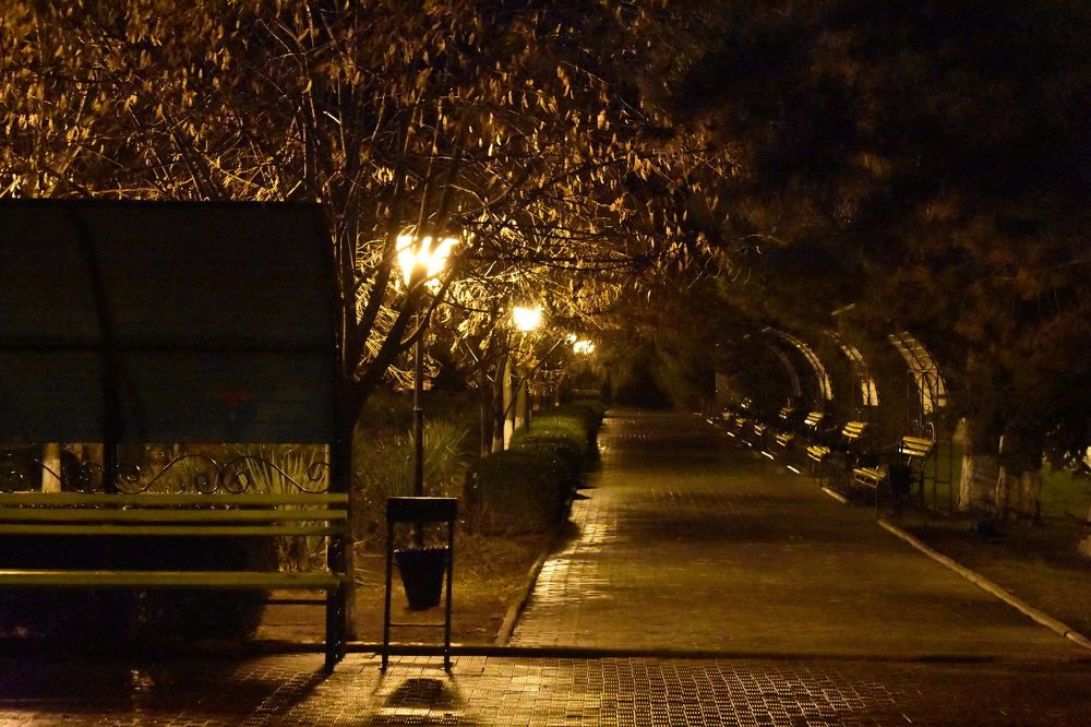 Осень. Ночной сквер после дождя